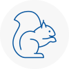 Skipton Rodent Removals